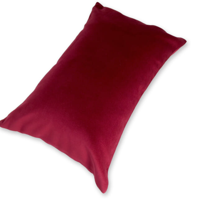 rebecca-garnet4530