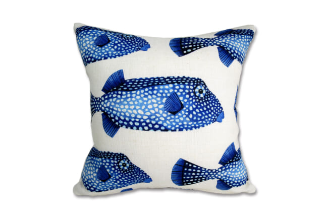 poisson40