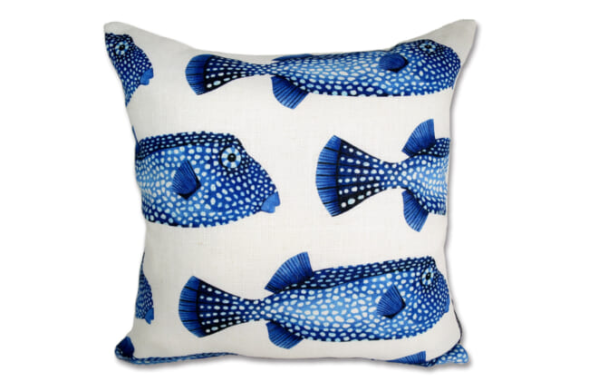 poisson45