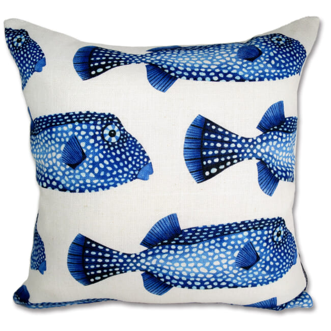 poisson45