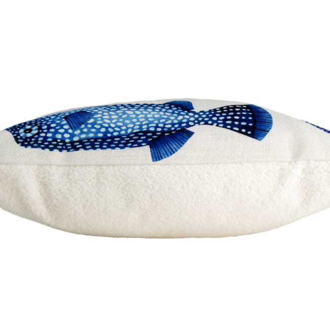 poisson45