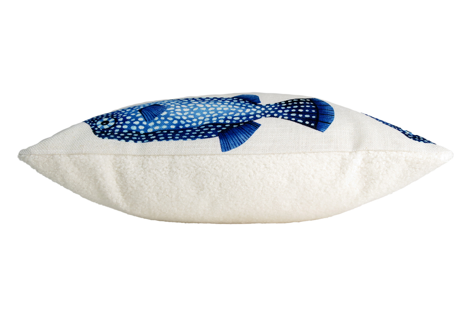 poisson45