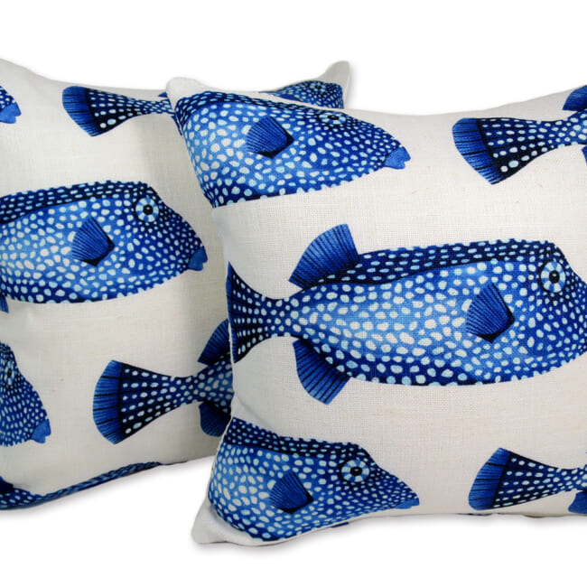 poisson45