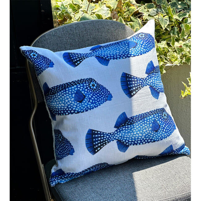 poisson45