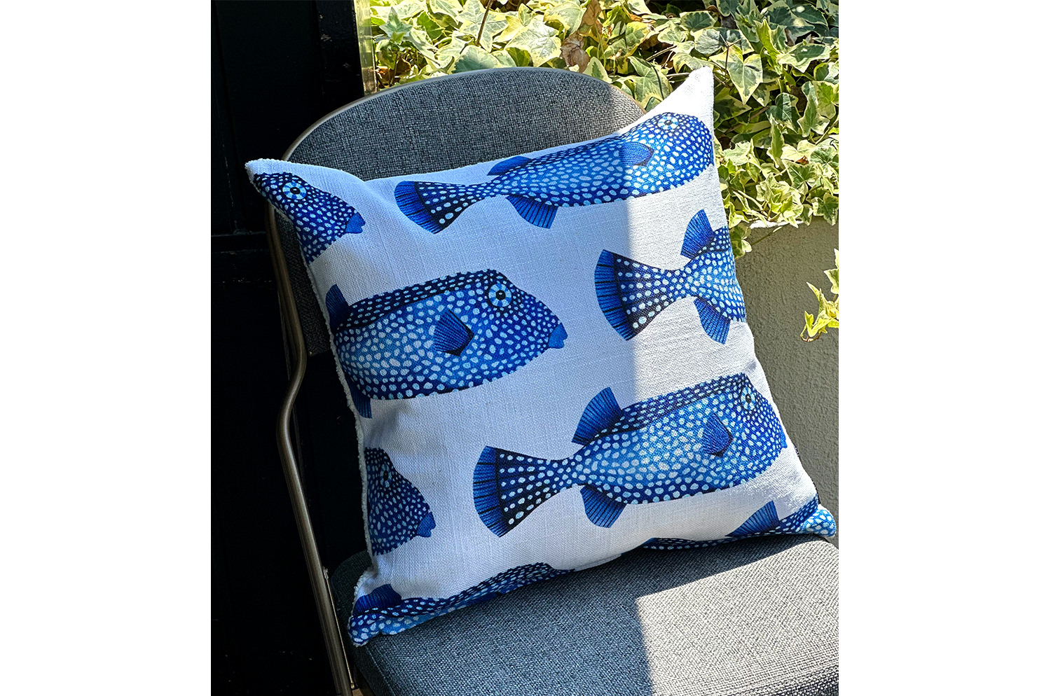poisson45