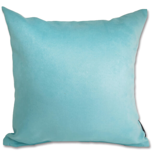 r-sueback-babyblue