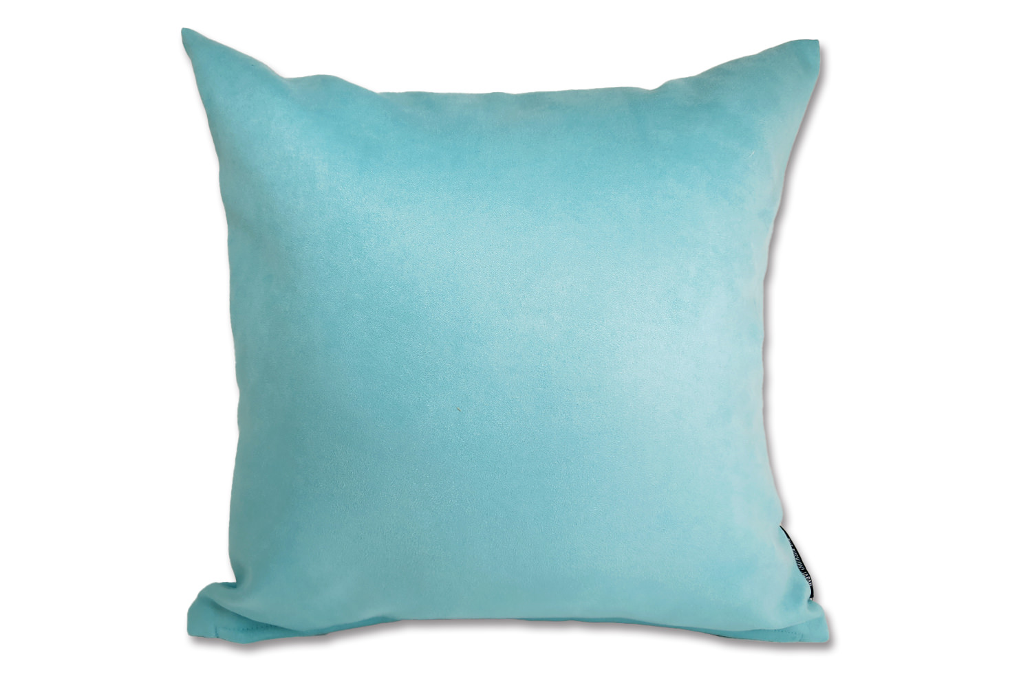 r-sueback-babyblue