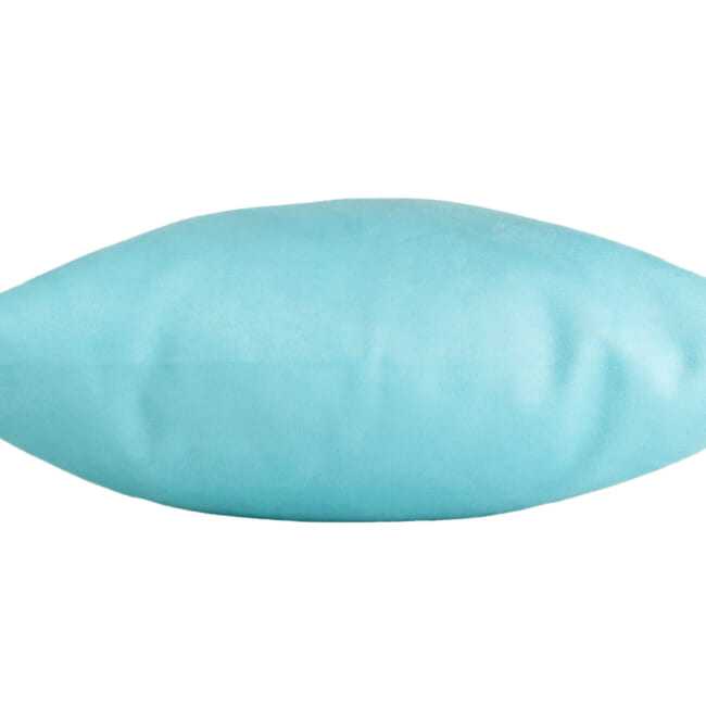 r-sueback-babyblue4530