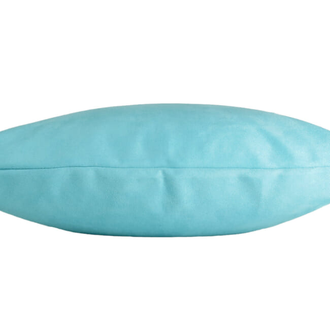 r-sueback-babyblue4530