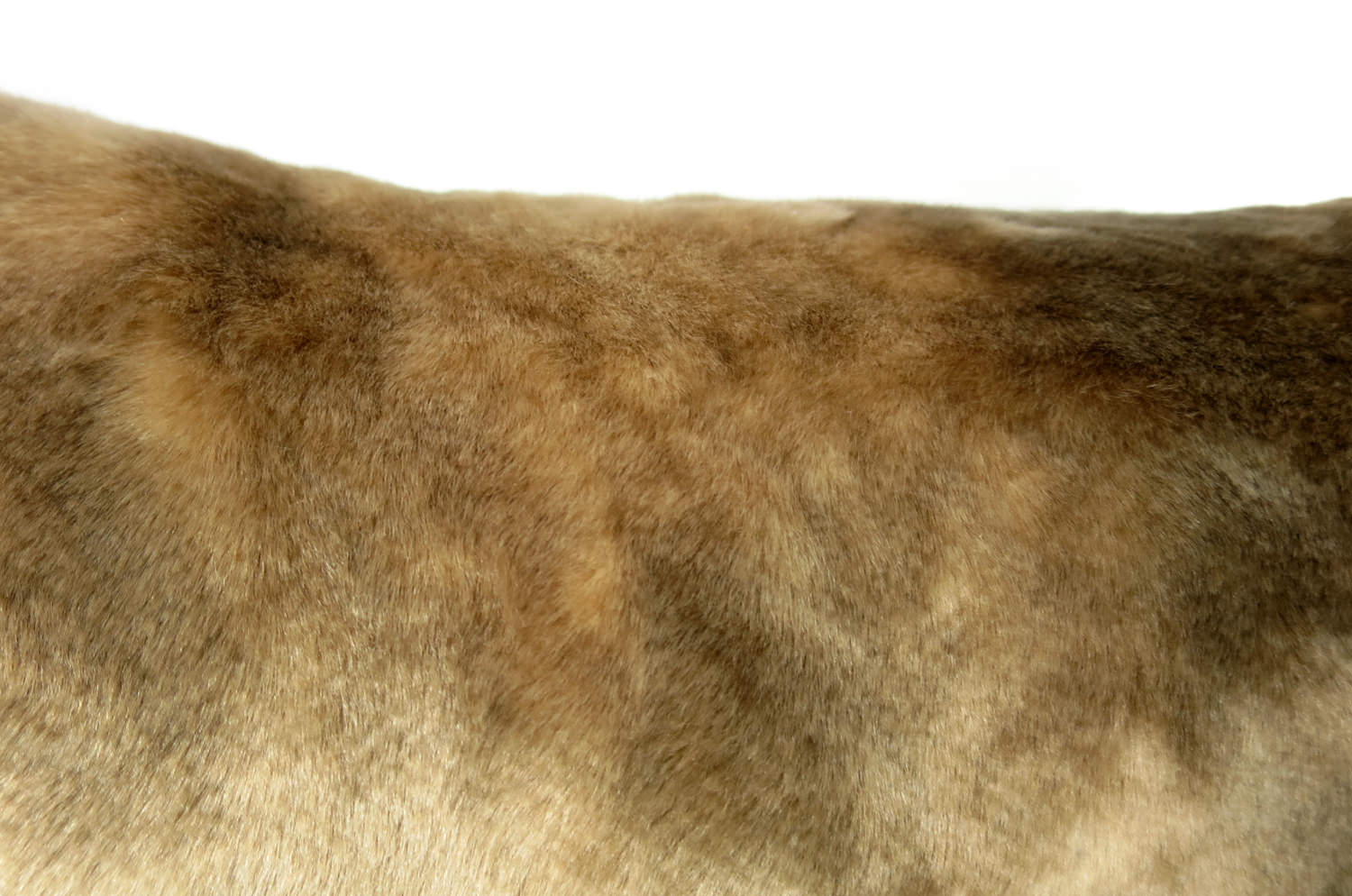 gradationfur45