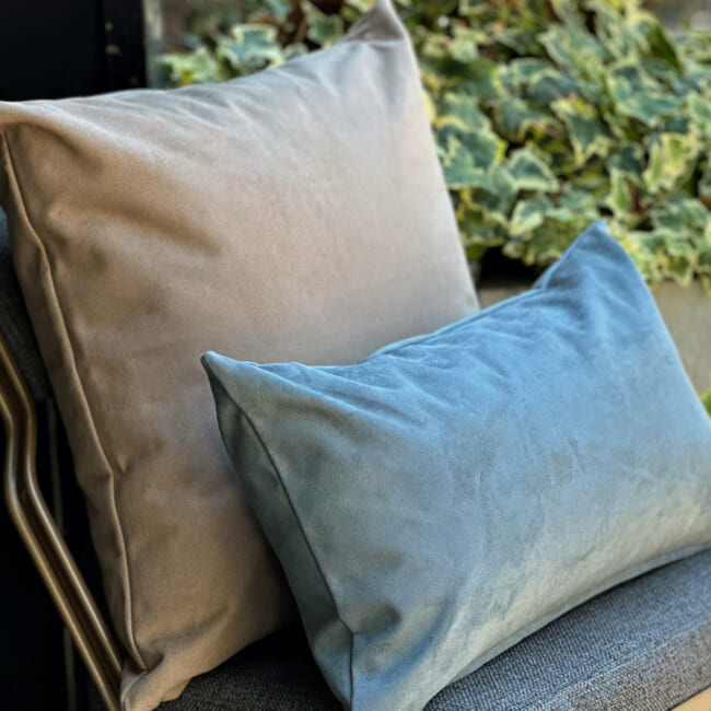 petluxe-suede-be50