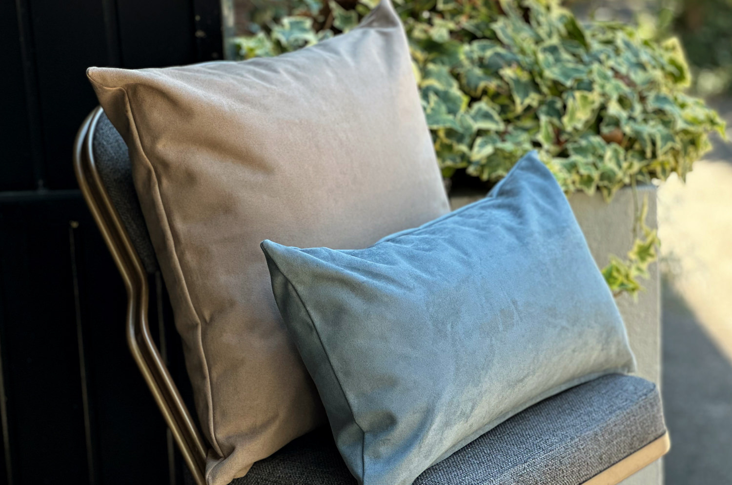 petluxe-suede-be50