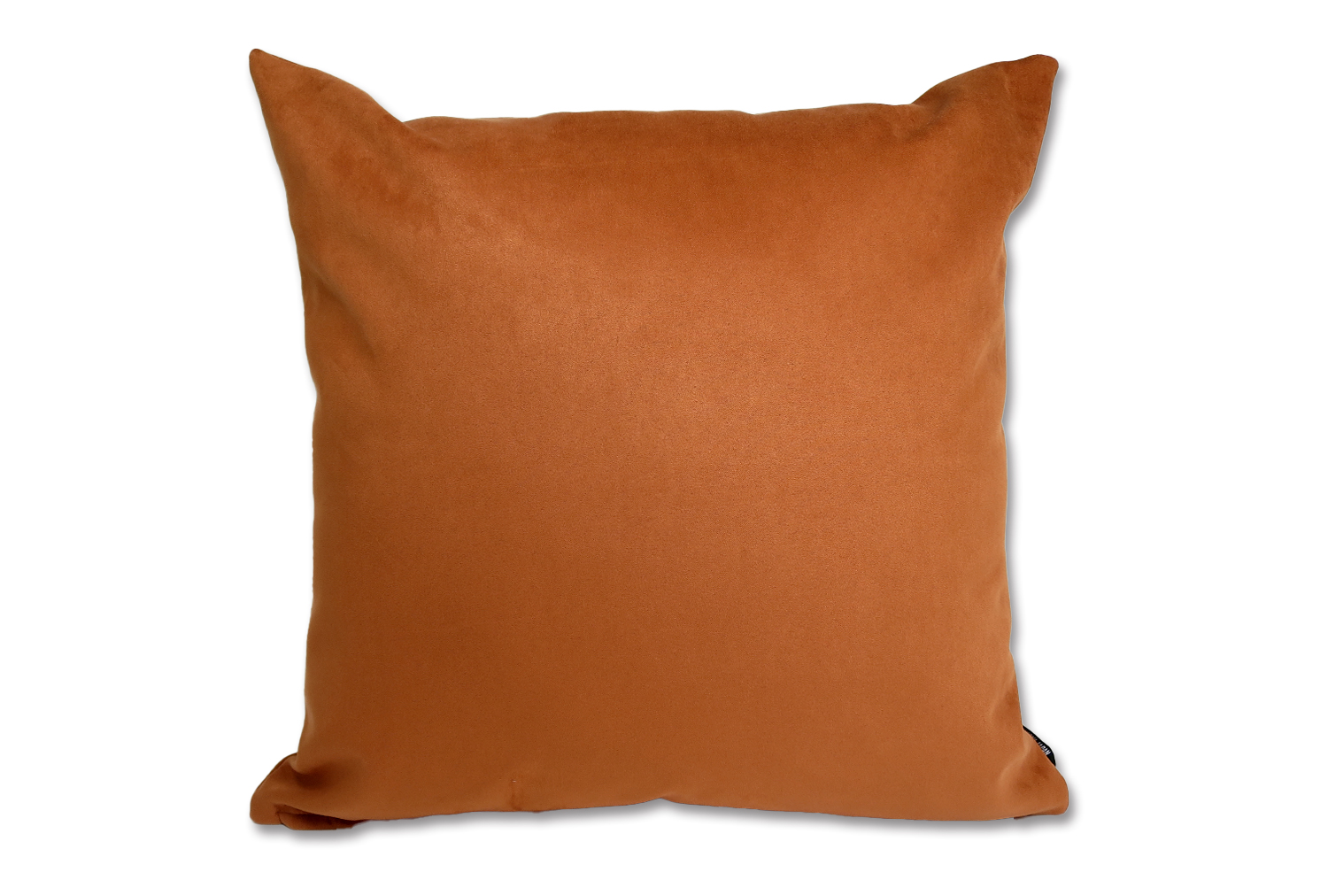 petluxe-suede-br50