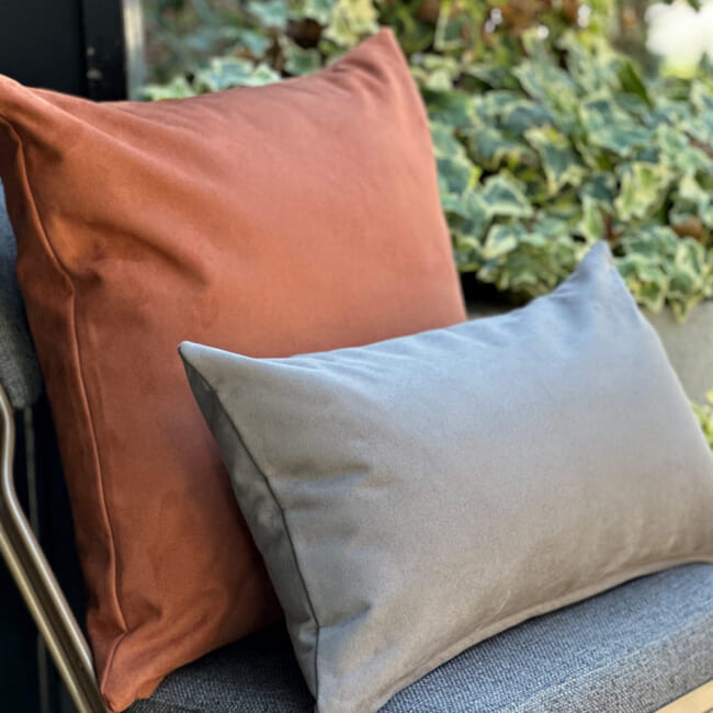 petluxe-suede-br50