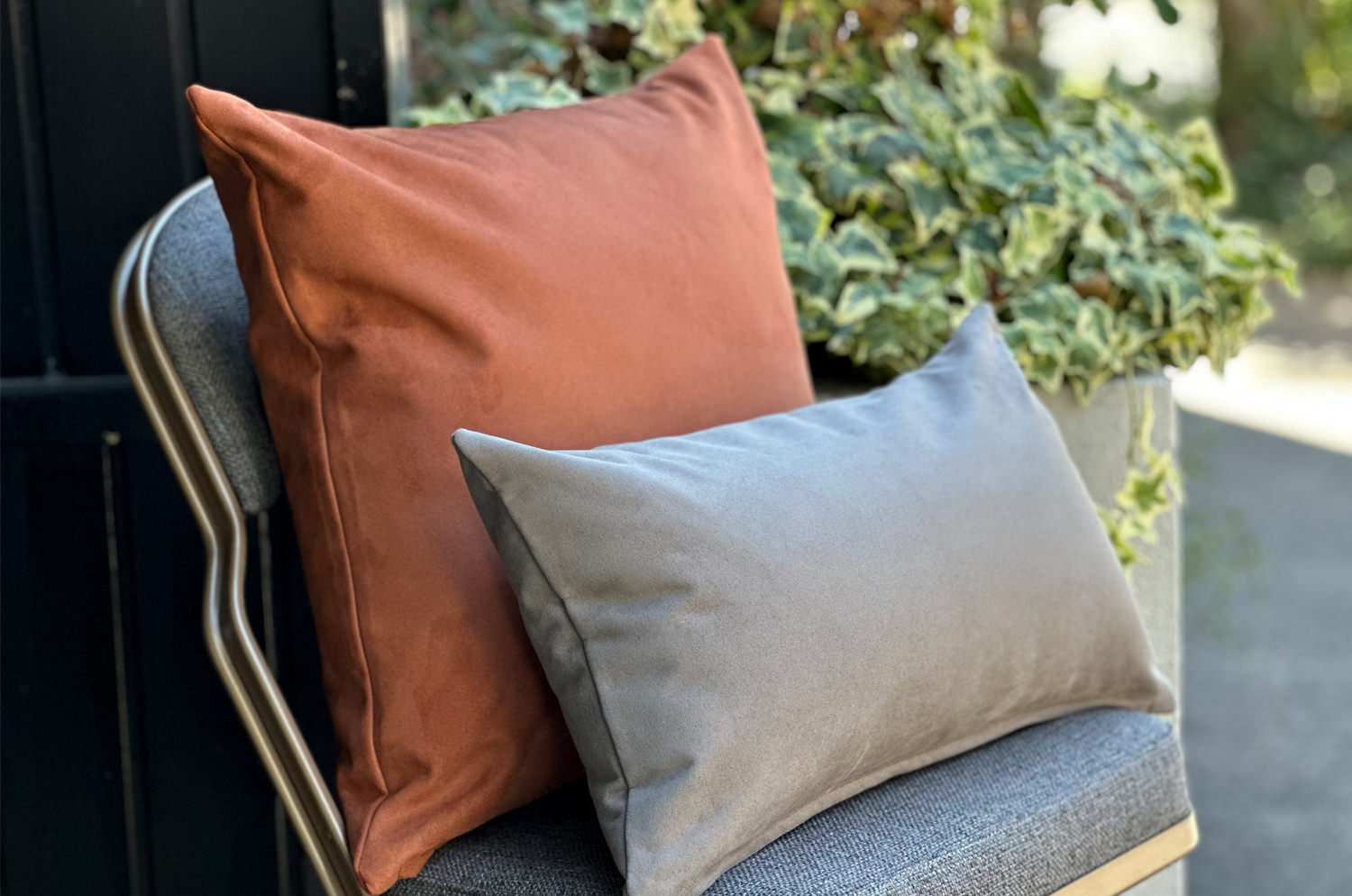 petluxe-suede-br50