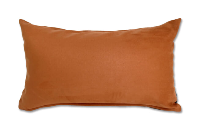 petluxe-suede-br5030