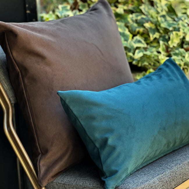 petluxe-suede-dbr50