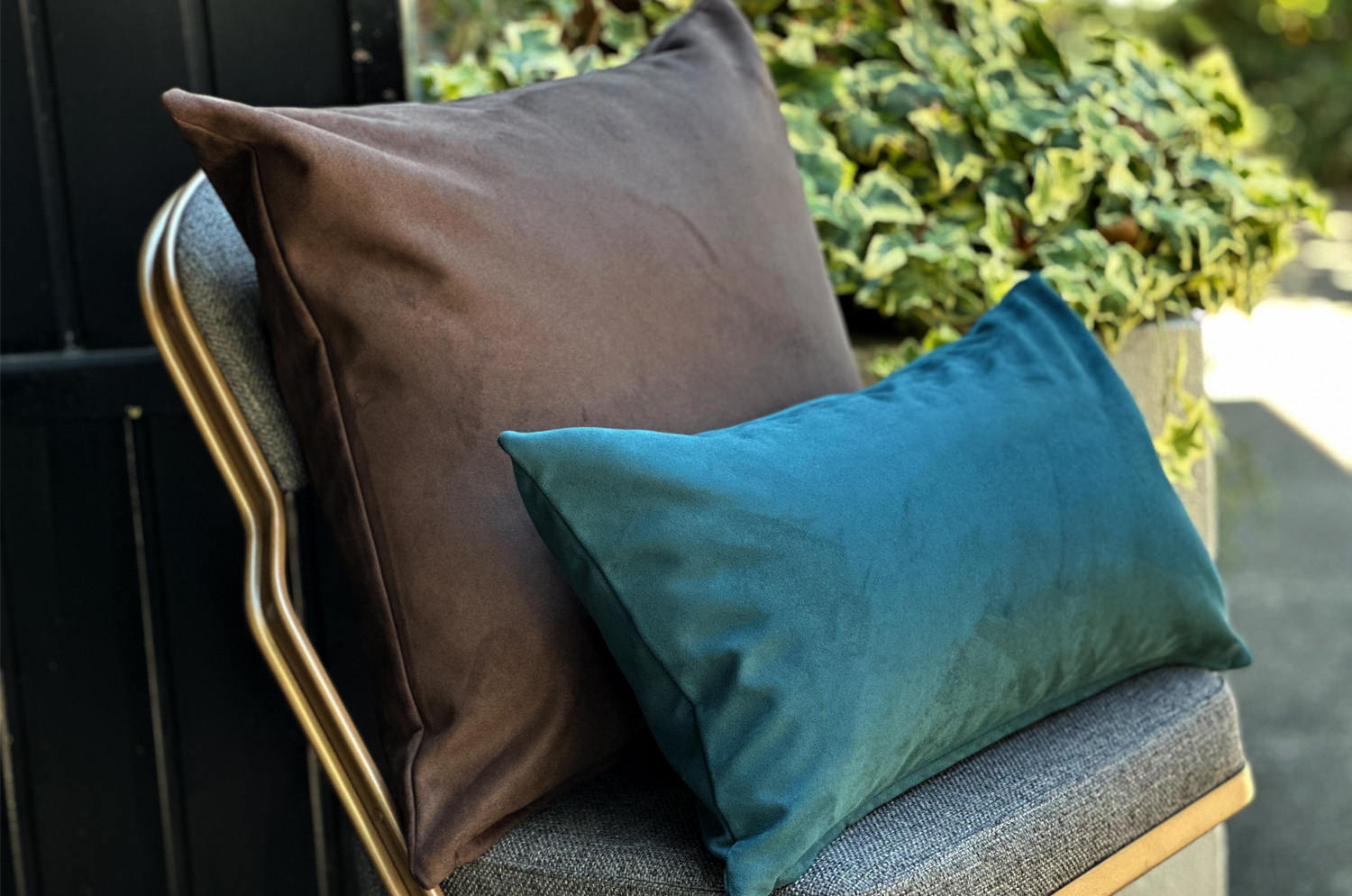 petluxe-suede-dbr50