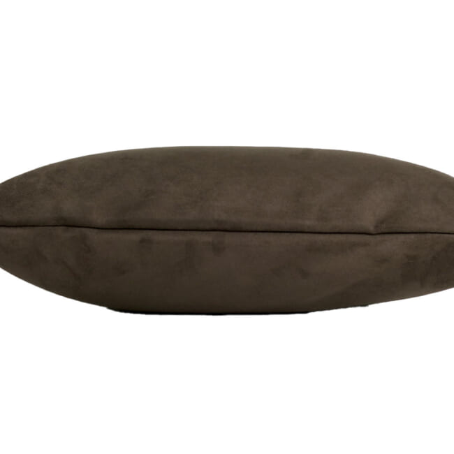 petluxe-suede-dbr5030