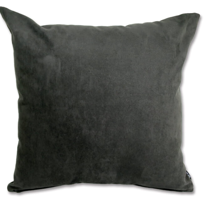petluxe-suede-dgy50