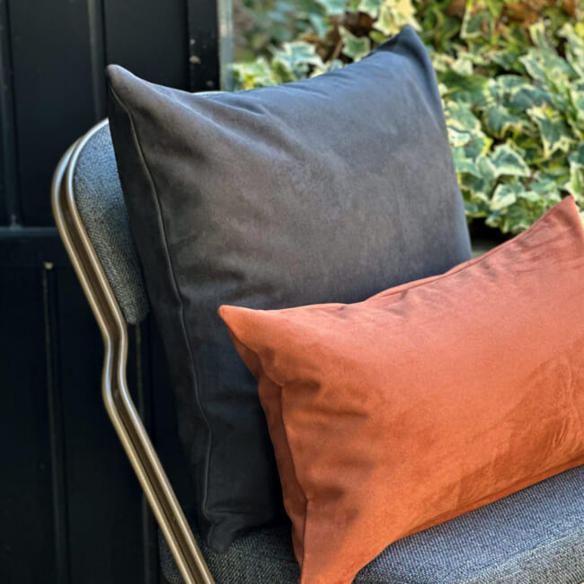 petluxe-suede-dgy50