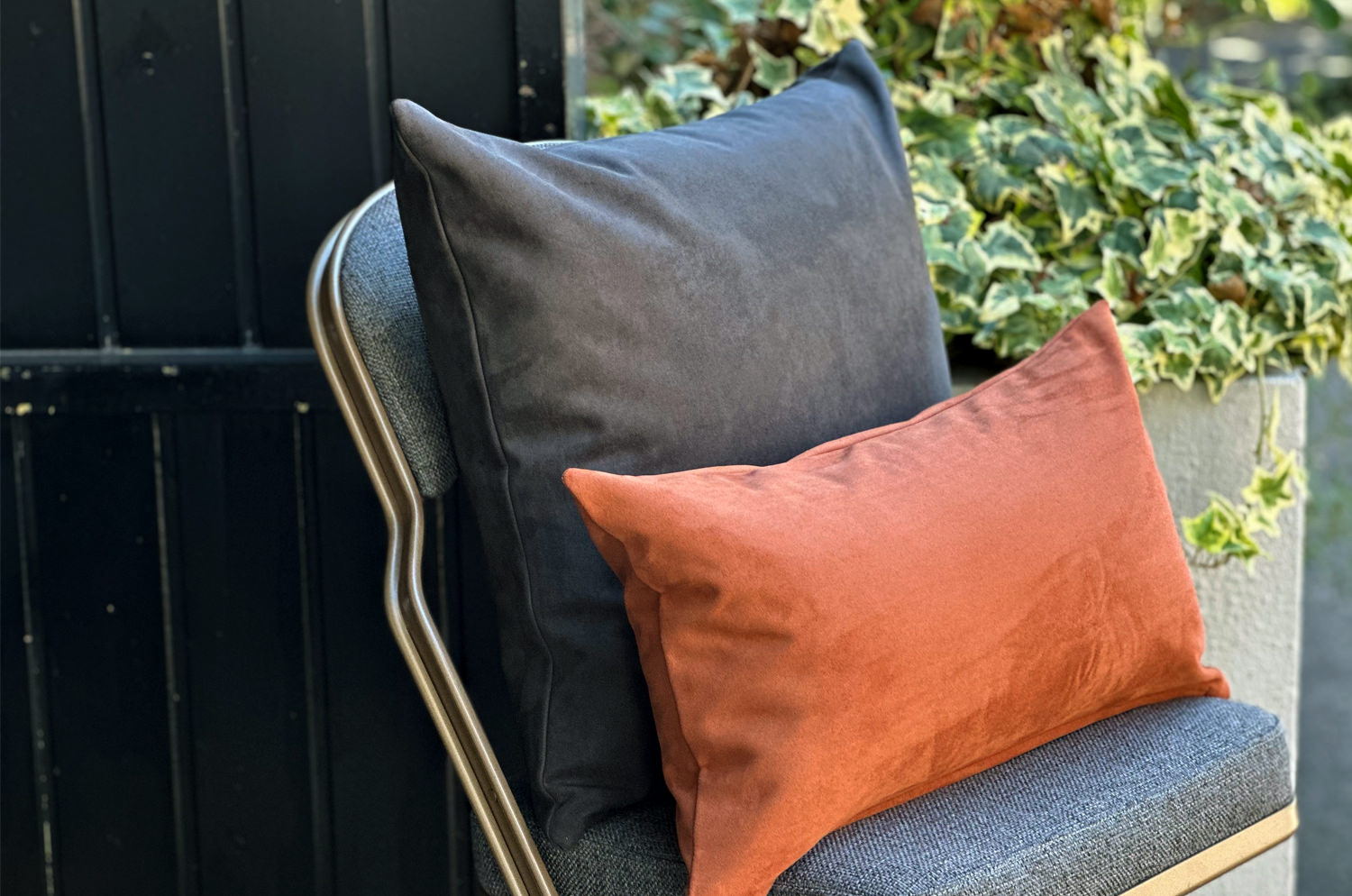 petluxe-suede-dgy50