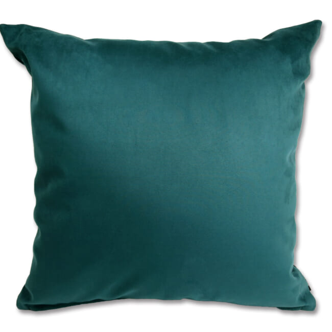 petluxe-suede-gn50