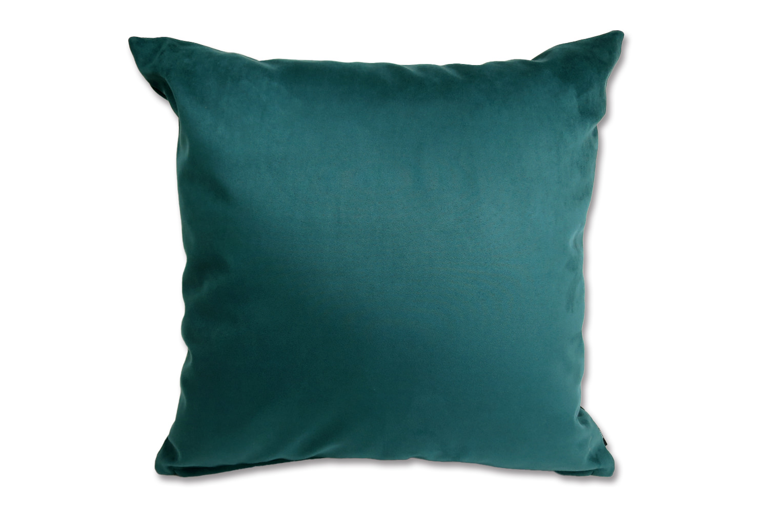 petluxe-suede-gn50