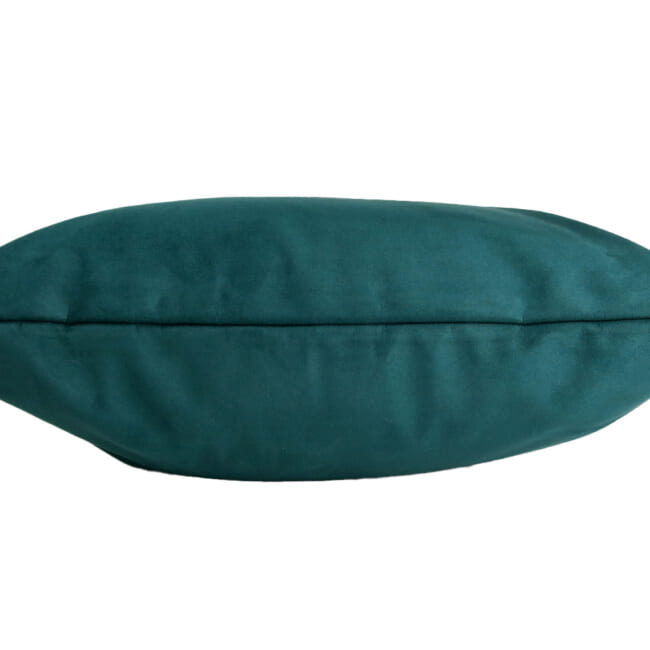 petluxe-suede-gn50