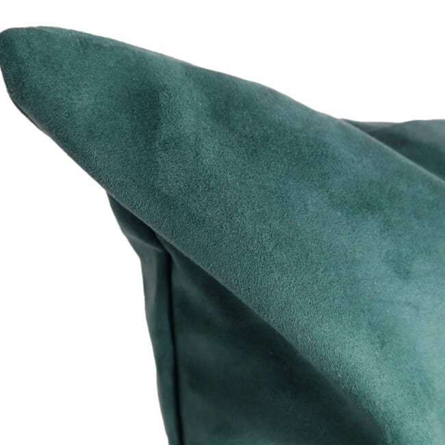petluxe-suede-gn50