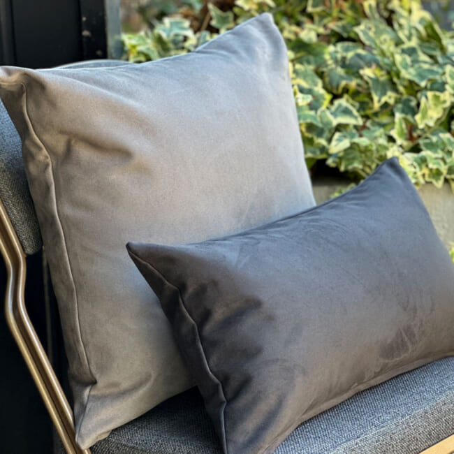 petluxe-suede-lgy50