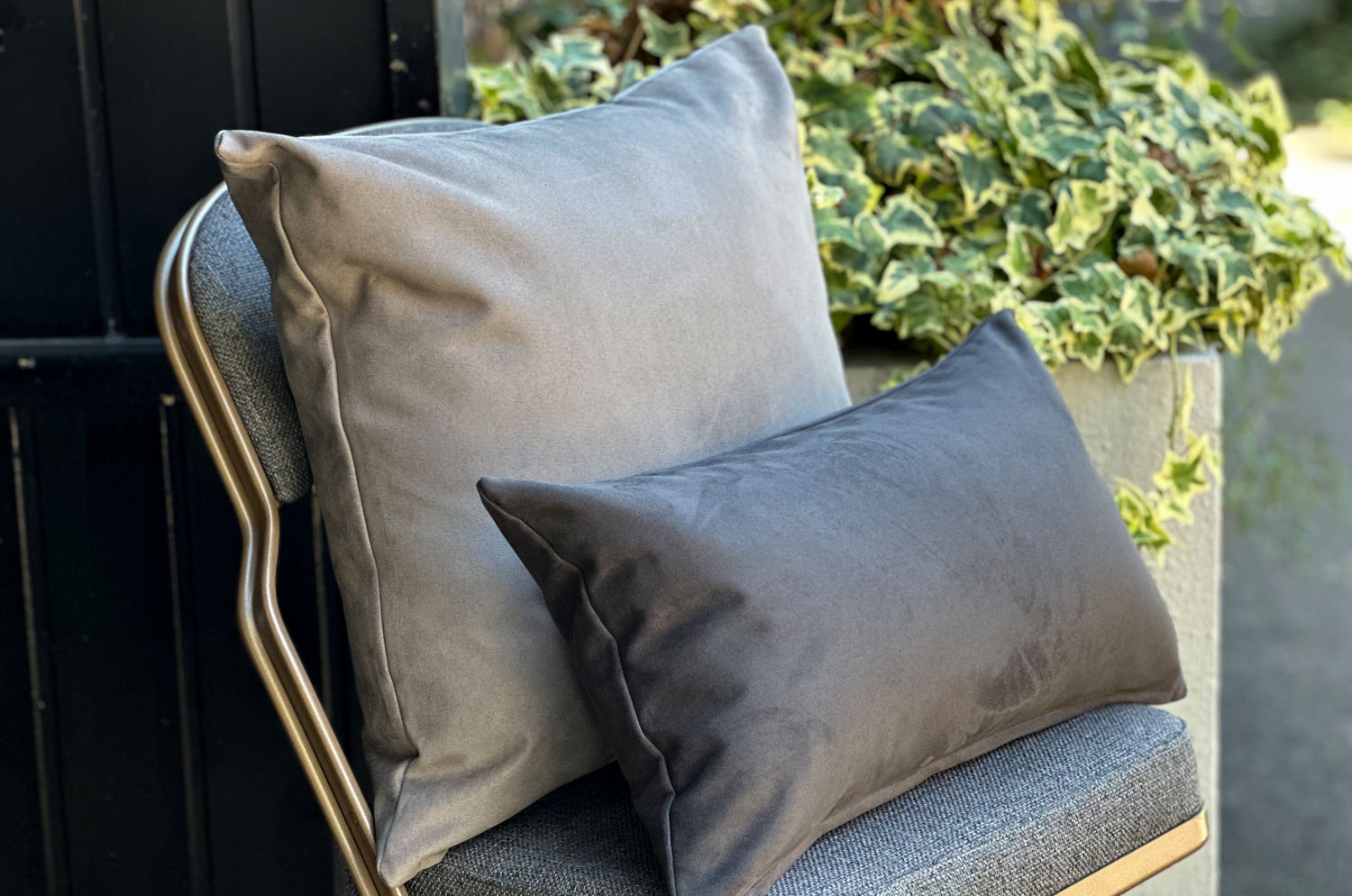 petluxe-suede-lgy50
