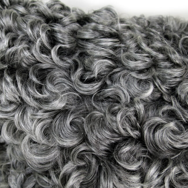 gotlandsheep-limited45a