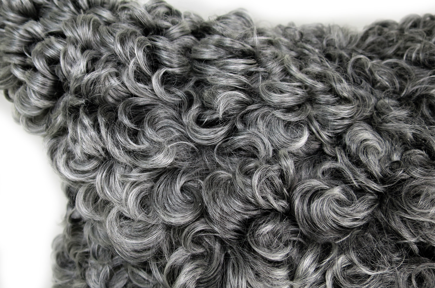 gotlandsheep-limited45a