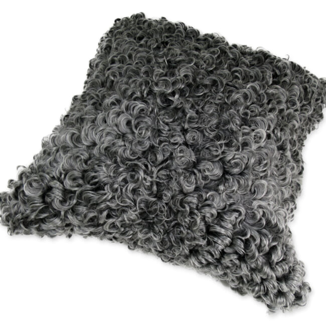 gotlandsheep-limited45a