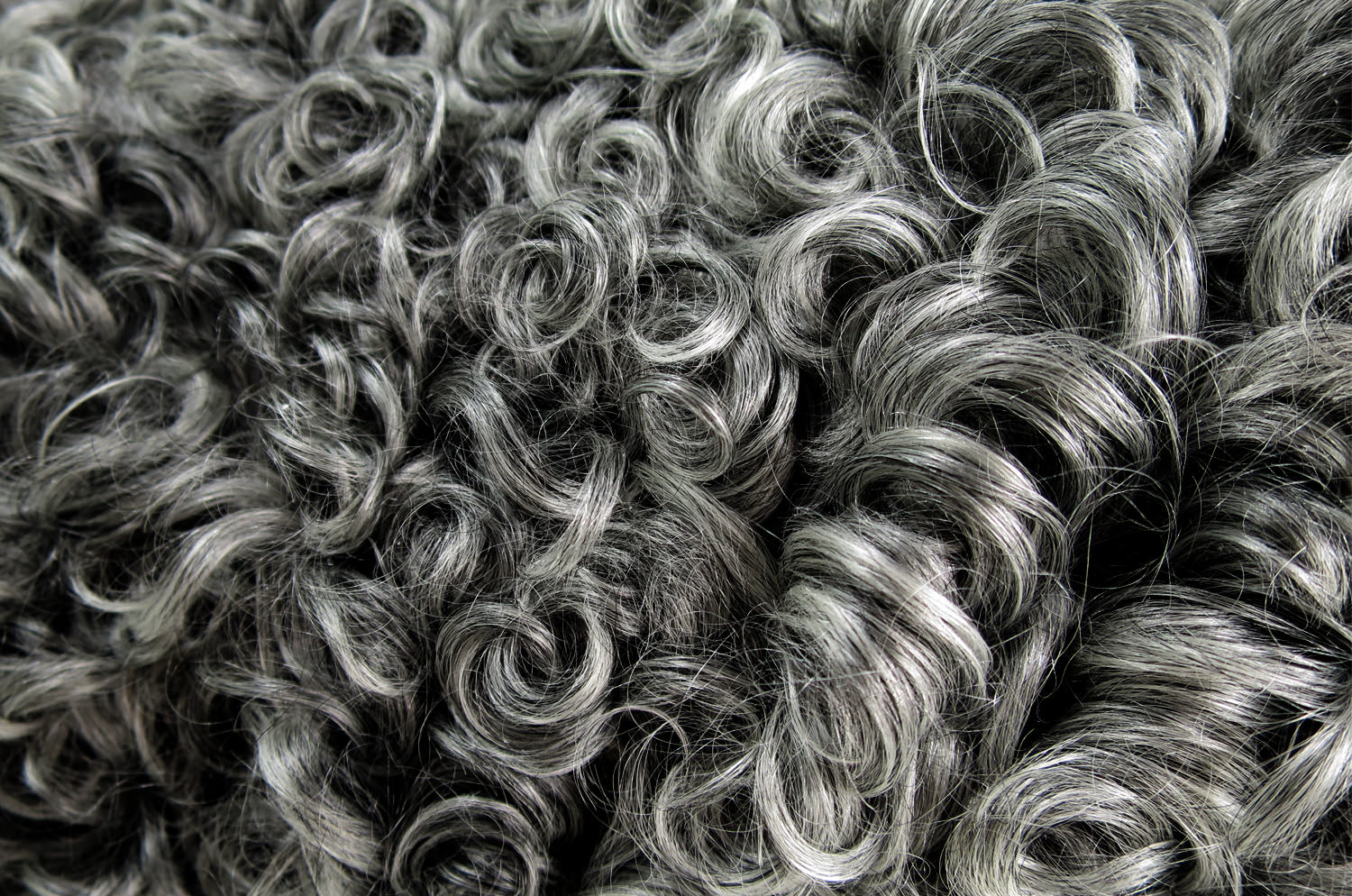 gotlandsheep-limited45a