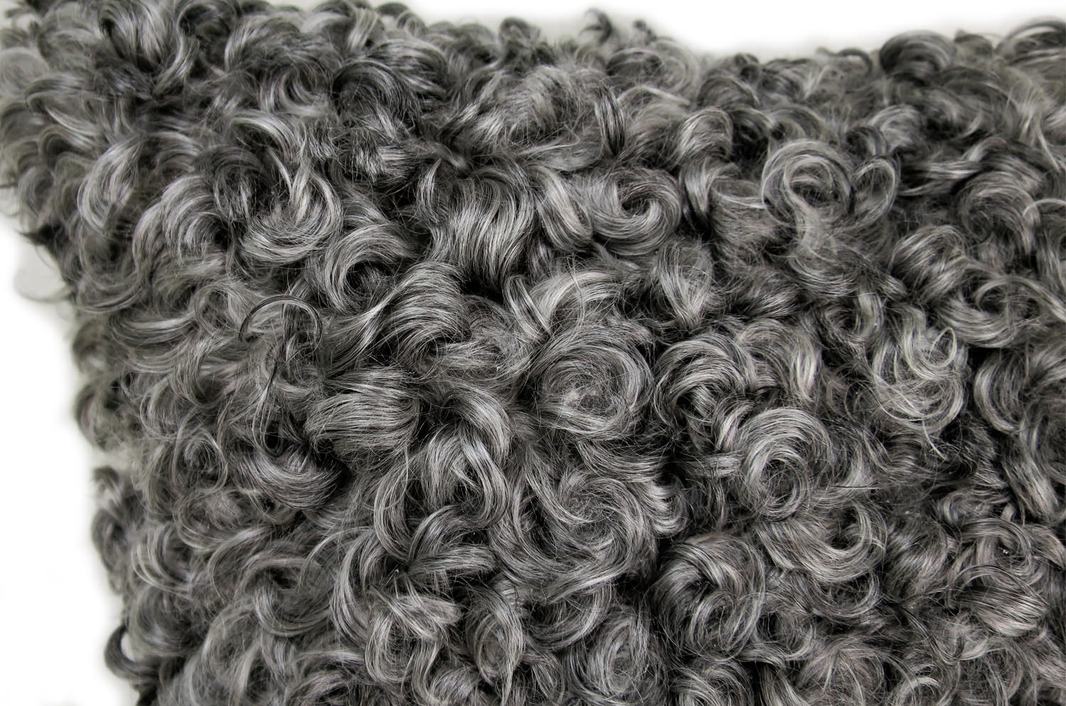 gotlandsheep-silkygray40a