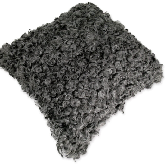 gotlandsheep-silkygray40a