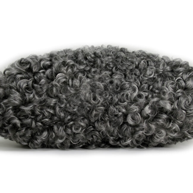 gotlandsheep-silkygray40a