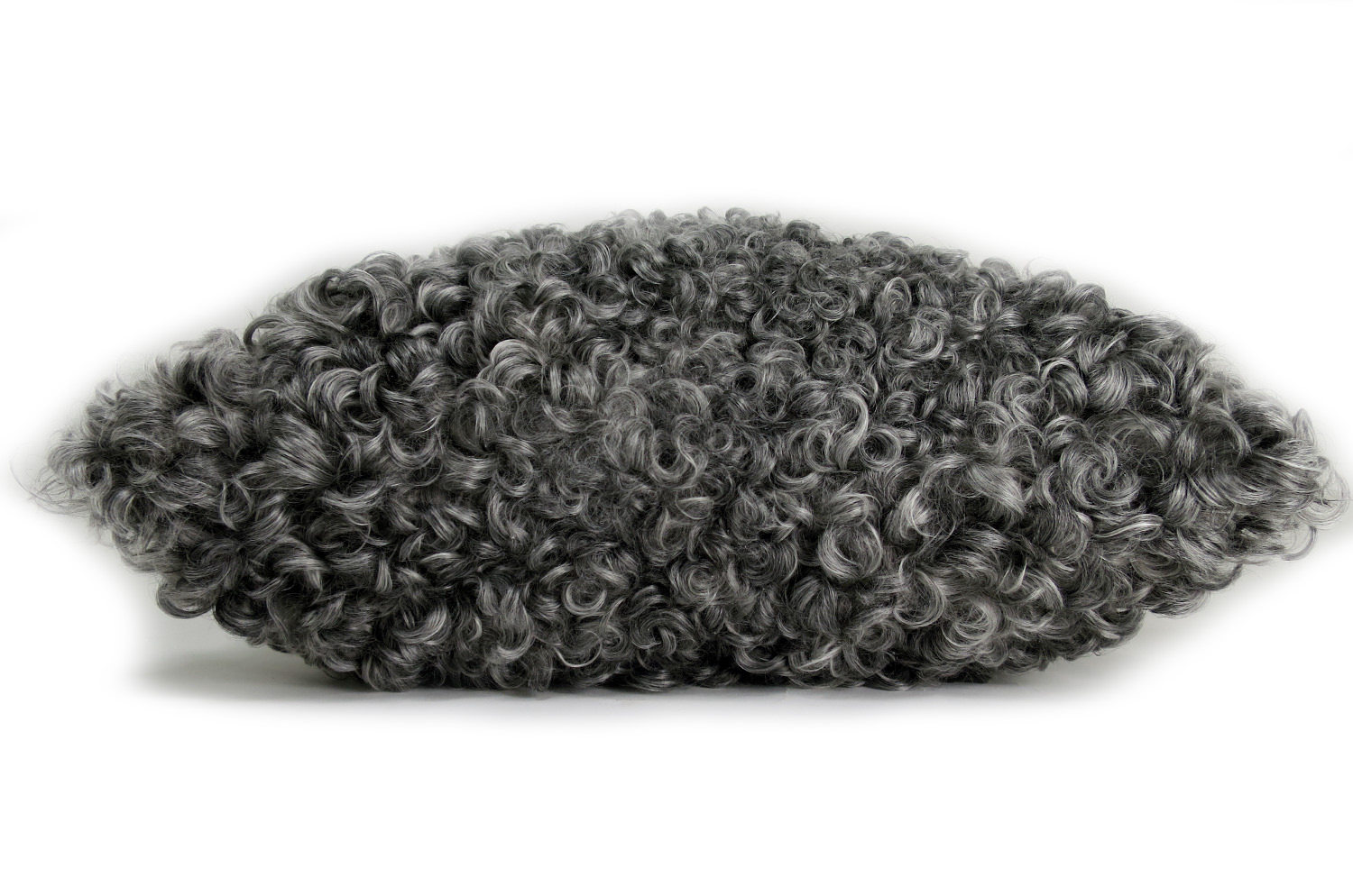 gotlandsheep-silkygray40a