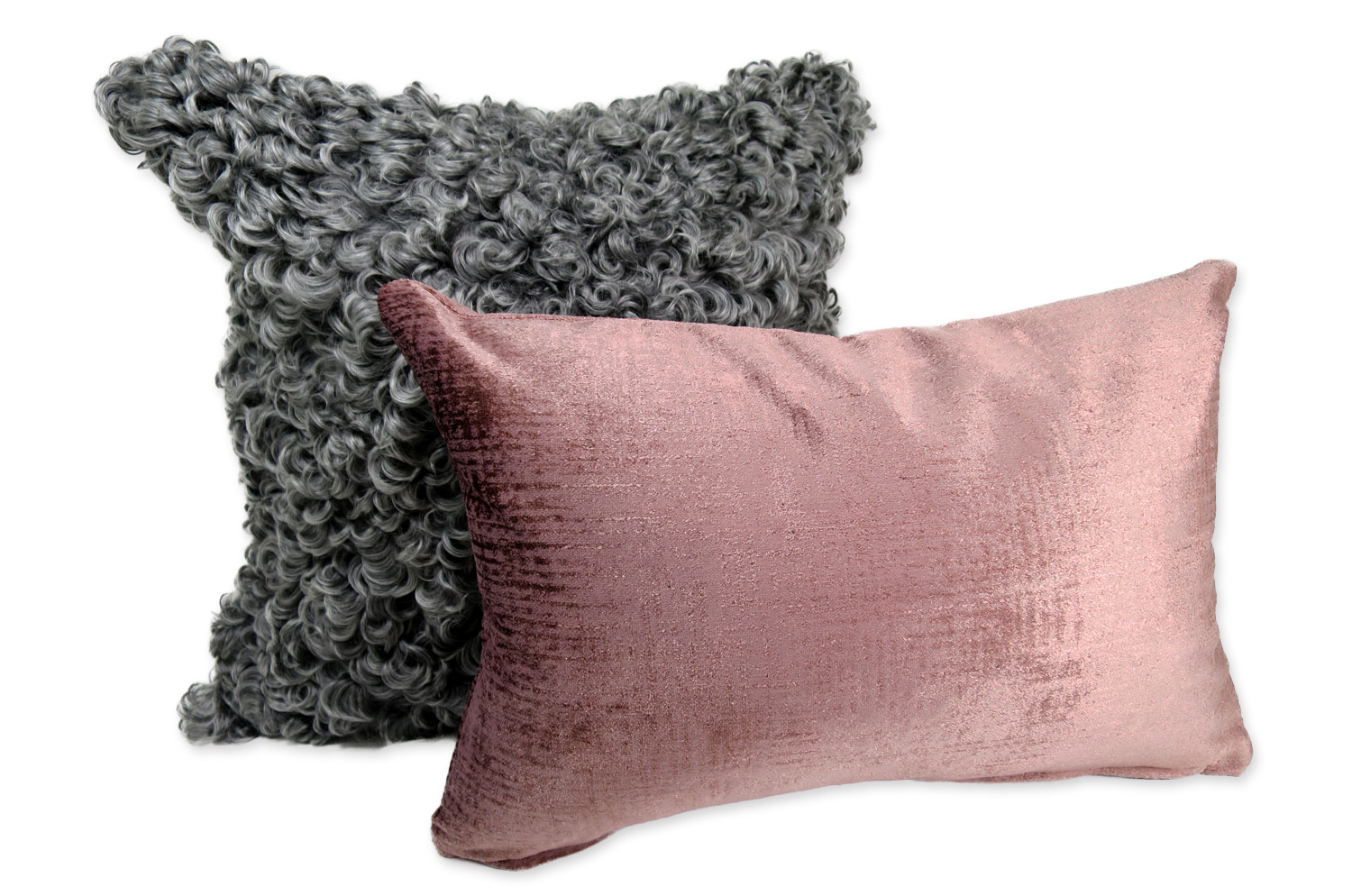 gotlandsheep-silkygray40a