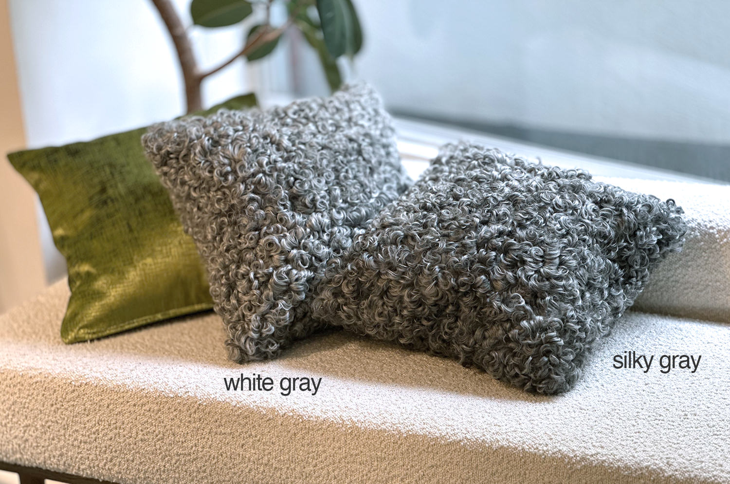 gotlandsheep-silkygray40a