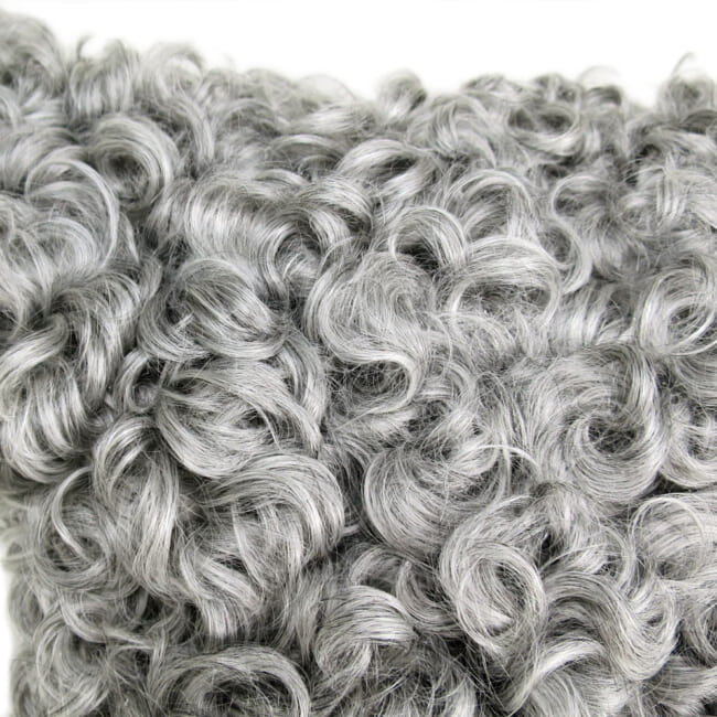gotlandsheep-whitegray40a
