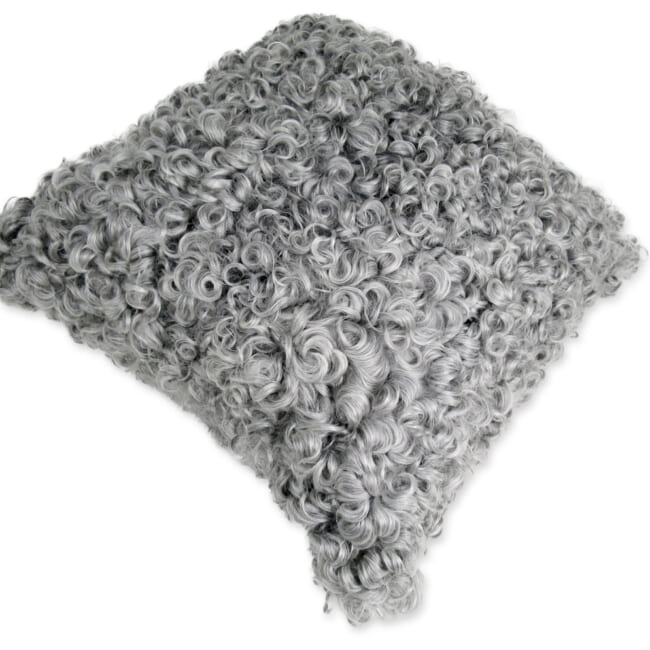 gotlandsheep-whitegray40a