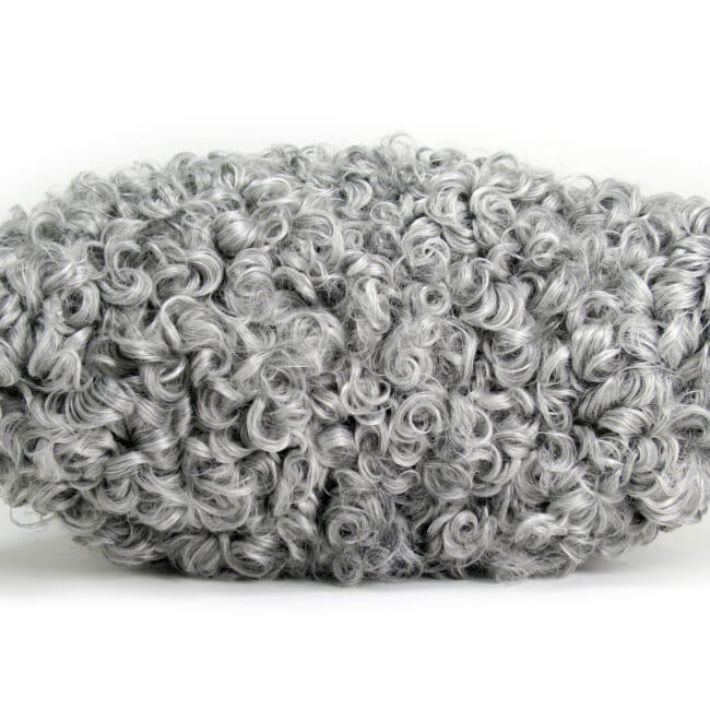 gotlandsheep-whitegray40a