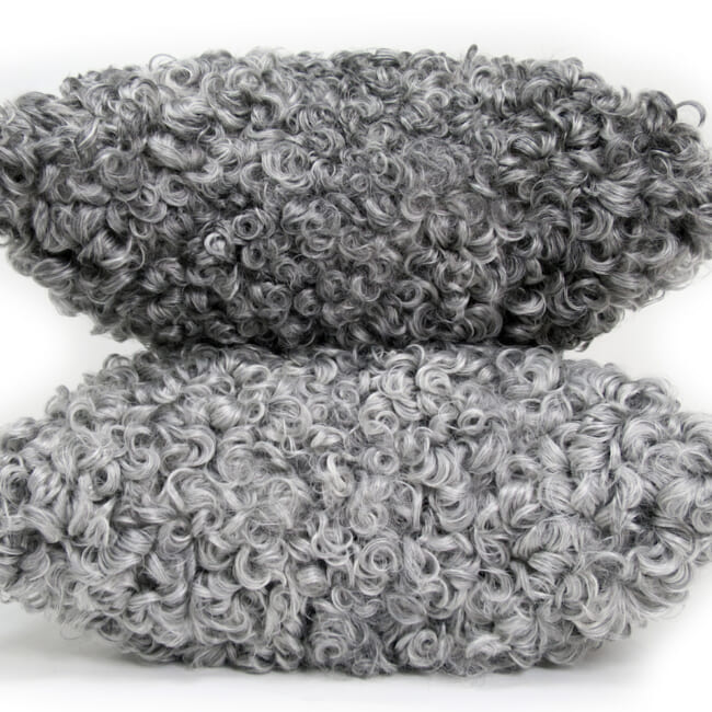 gotlandsheep-silkygray40a