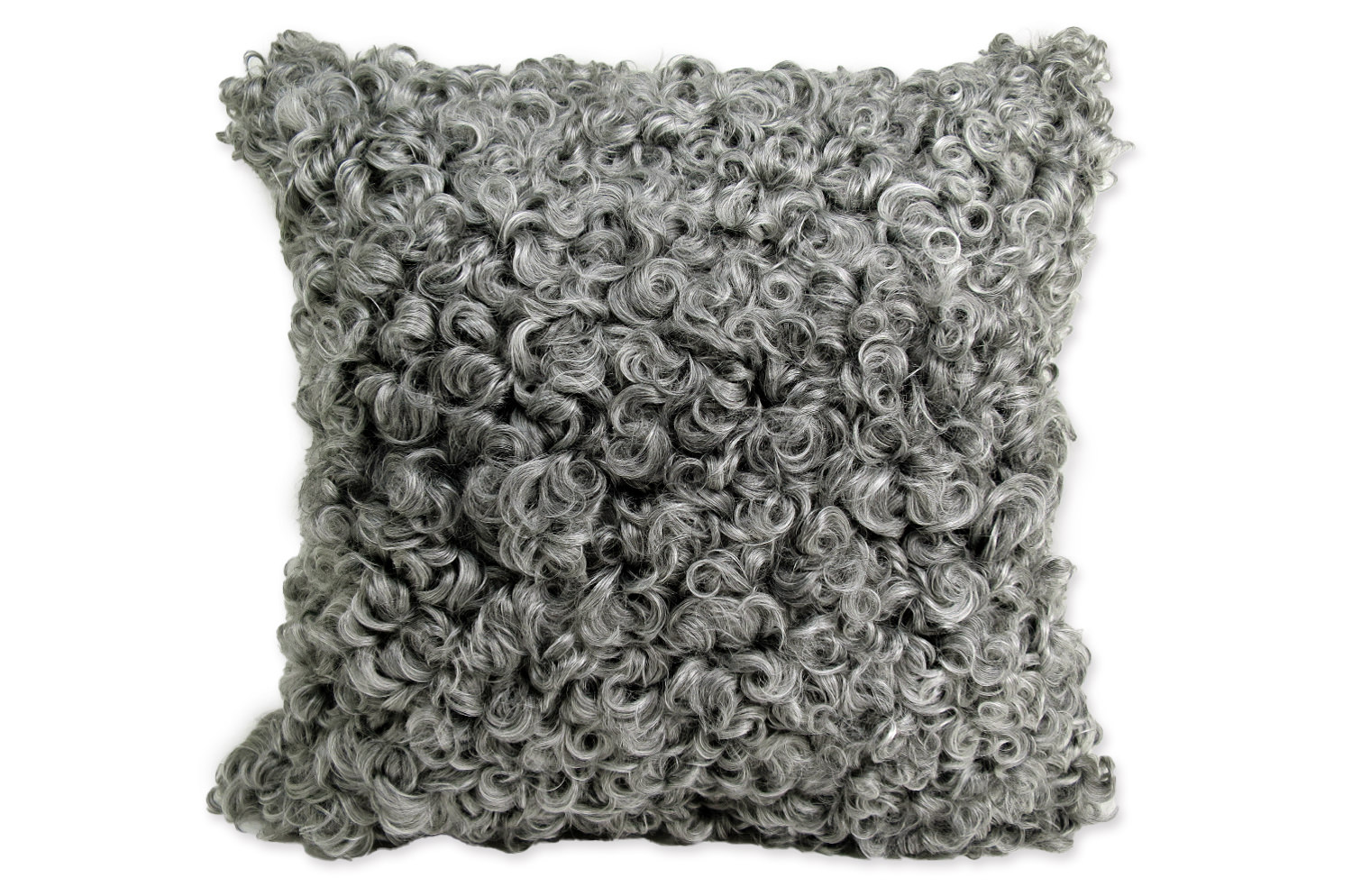 gotlandsheep-whitegray40a