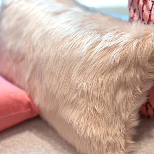 The EcoFur フォックス 贅沢エコファー横長クッション シャーベットピーチ 60×38cm 中材付