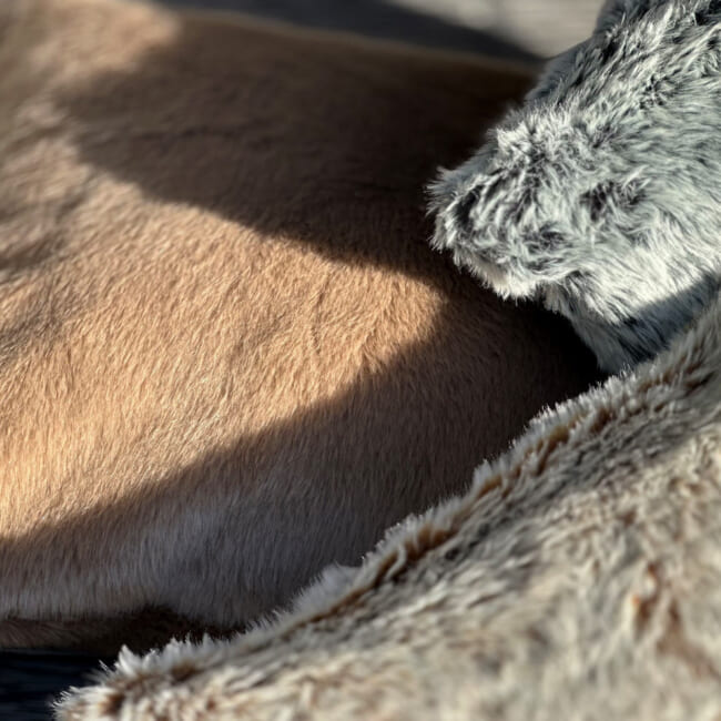 The Heat Luxury ヒートラグジュアリーファー クッションカバー (Camel) 45×45cm