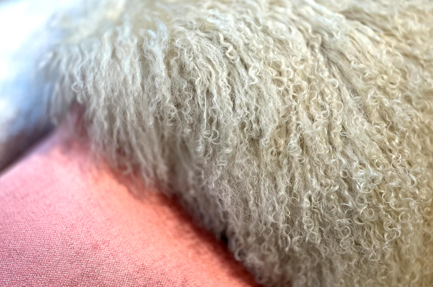 The Luxury Tibet Lamb 全面チベットラムクッションカバー (ラテ) 40×40cm